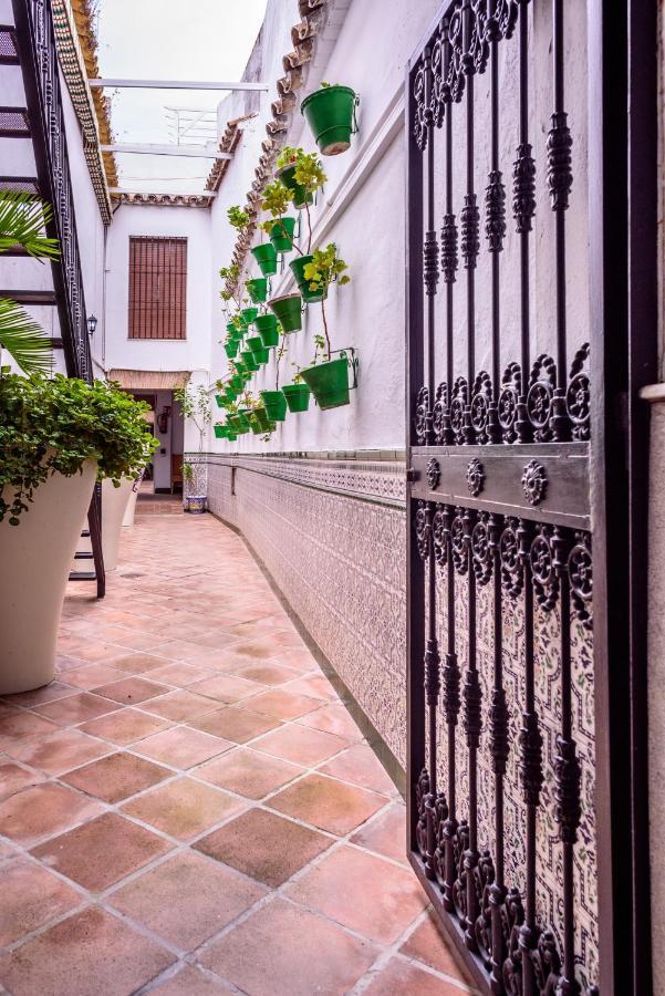El Patio De Santiago Hotel Kordoba Zewnętrze zdjęcie