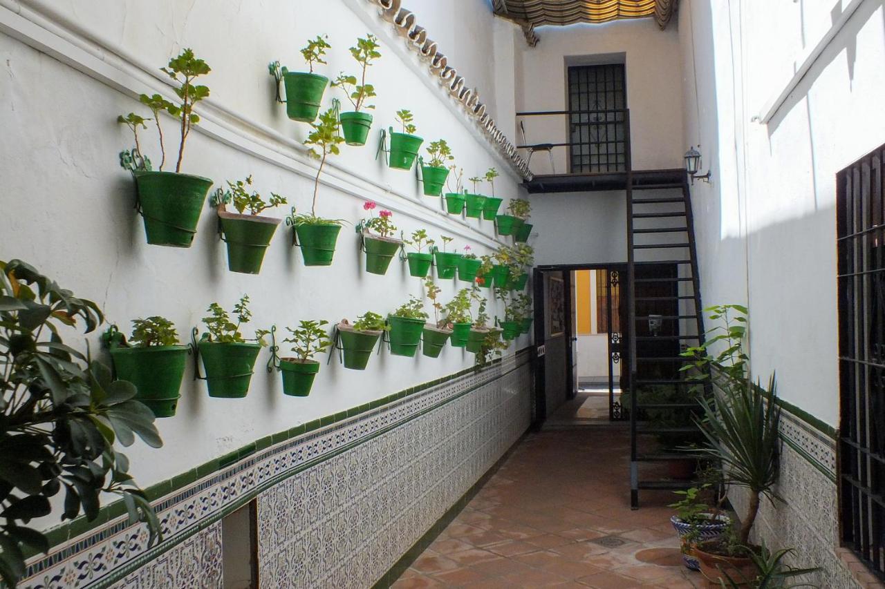 El Patio De Santiago Hotel Kordoba Zewnętrze zdjęcie